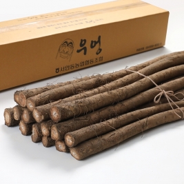 서안동농협 우엉 특상 2kg 국내산
